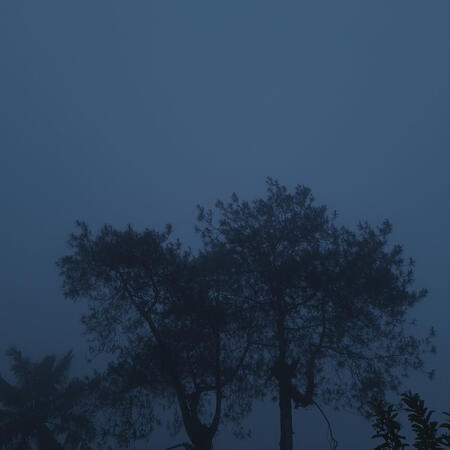 foggy day
