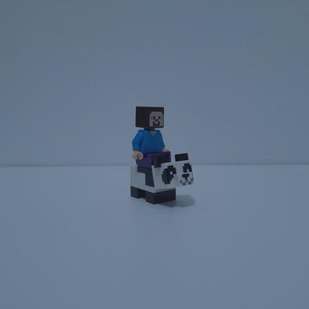 Steve