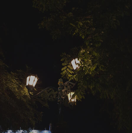 lamp